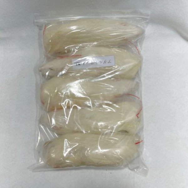 画像1: アダルトラットＸＬ　５匹　富城物産　約３００ｇ〜４００ｇ (1)