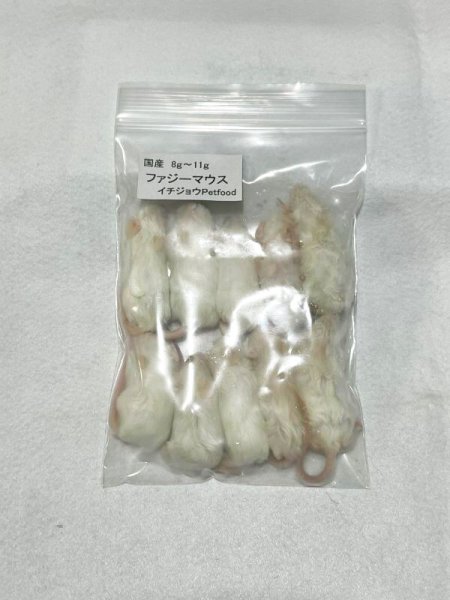 画像1: ファジーマウス　１０匹　国産自社　８ｇ〜１１ｇ (1)