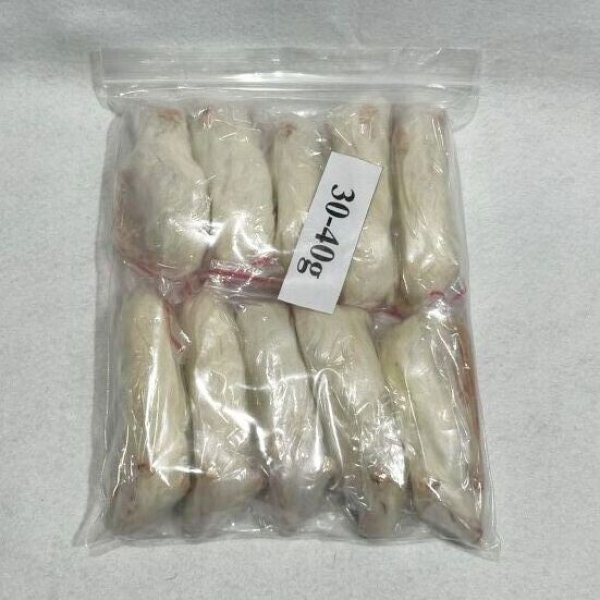 画像1: アダルトラットＸＳ　１０匹　富城物産　３０ｇ〜４０ｇ (1)