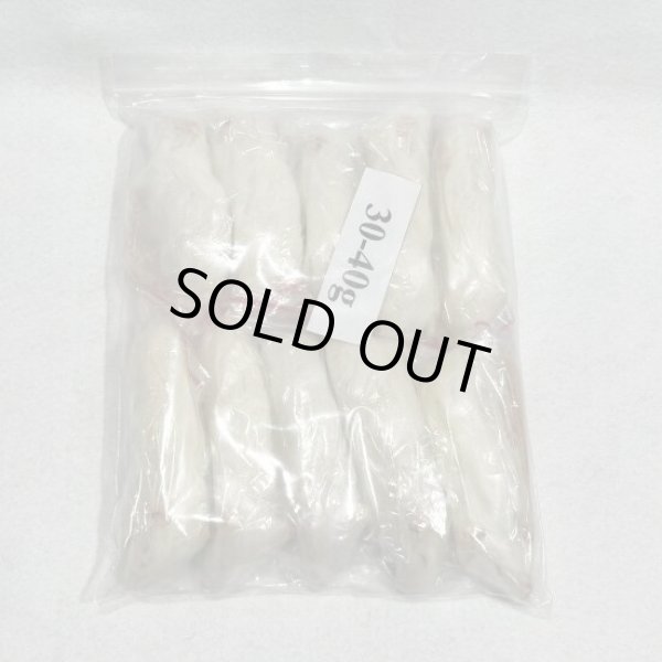 画像1: アダルトラットＸＳ　１０匹　富城物産　３０ｇ〜４０ｇ (1)