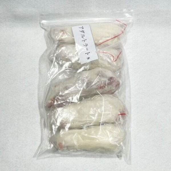 画像1: アダルトラットＳ　５匹　富城物産　約６０ｇ〜８０ｇ (1)