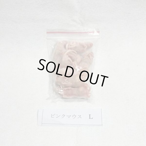 画像1:  ピンクマウスＬ　１０匹　富城物産　４ｇ (1)