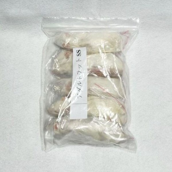 画像1: アダルトラットＳＳ　５匹　富城物産　約４０ｇ〜５０ｇ (1)