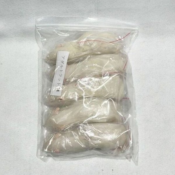 画像1: アダルトラットＭ　５匹　富城物産　約１００ｇ〜１２０ｇ (1)