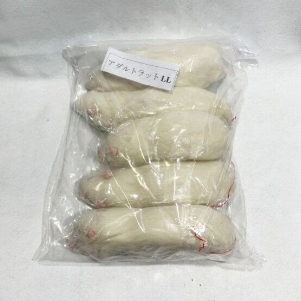 画像1: アダルトラットＬＬ　５匹　富城物産　約２４０ｇ〜２８０ｇ (1)