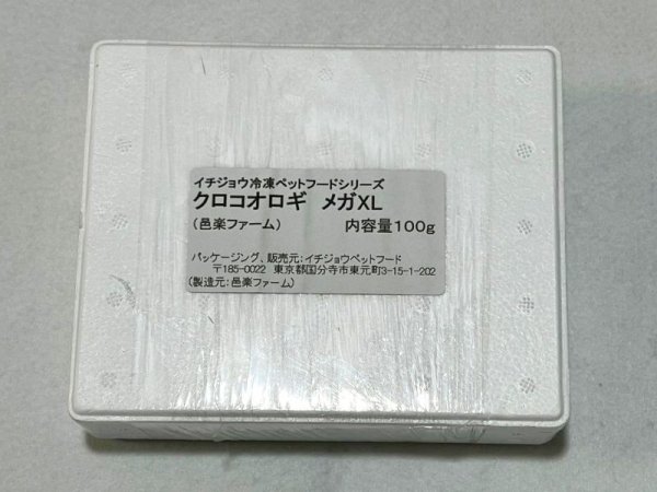 画像1: 邑楽ファーム：クロコオロギ　メガⅬサイズ　１００ｇ入り (1)